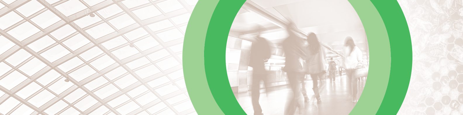 Chilcott Consulting