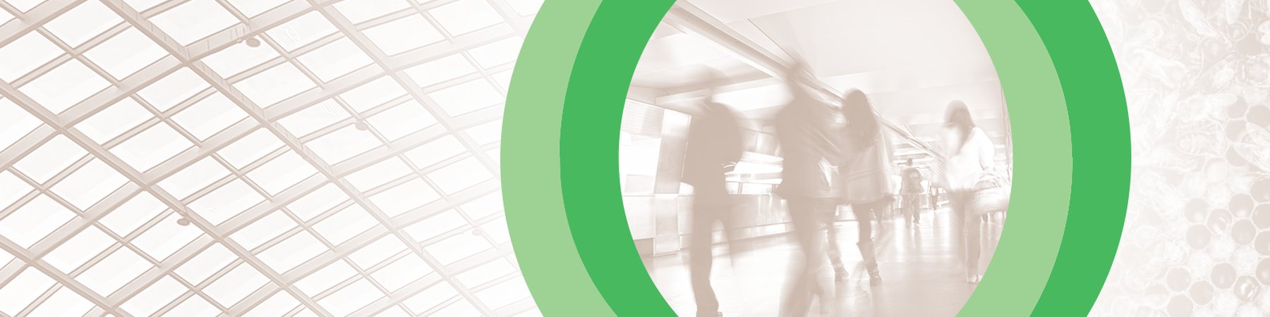 Chilcott Consulting